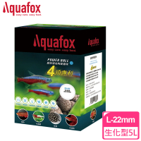 【Aquafox】Powerball陶瓷魔球 生化型5L-22mm-L(超越石英球、生化型)