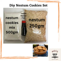 Diy Nestum Cookies Set / Diy Biskut Nestum Set