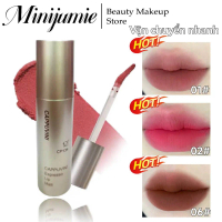 Son Kem Lì Nâu đỏ CAPPUVINI CP134 Màu Môi Nhung Lì Mềm Mại Cốc Chống Dính sơn lilybyred son into you