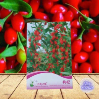 50 BUTIR BENIH GOJI BERRY IMPORT
