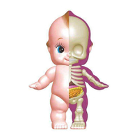 4D MASTER Baby Cupid 丘比特娃娃解剖公仔 基本款 Classic 【鯊玩具Toy Shark】