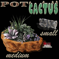 PT002 POT KAKTUS RELIEF TANAMAN CACTUS SUKULEN KAKTUS MINI GENTONG LILIN PARODIA GYMNO WADAH TEMPAT