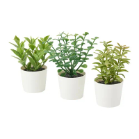 FEJKA 人造盆栽 3件組, 室內/戶外用 草本植物, 5 公分