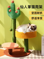 貓爬架 新品上市 仙人掌貓爬架貓架子貓咪抓柱貓窩貓樹一體小型人貓共用夏季用品