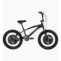 20 INCH SEPEDA ANAK COWOK BMX COYOTE PACIFIC ELEMENT POLYGON