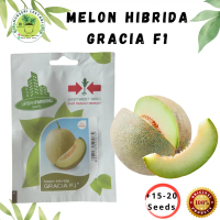 Benih Biji Bibit Melon Hibrida Gracia F1 Unggulan - Cap Panah Merah