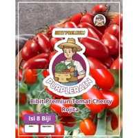 Bibit Premium Tomat Cerry Rojita | Benih Tomat Mini F1 Rojita
