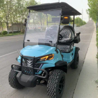 Custom 2/4 2+2 Seater USB Port Golf Cart Electric 72/48/ Design Lithium Battery Electric Self-propelled Car Bluetooth Speakers