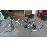 捷安特 GIANT IGUANA DISC 17吋 腳踏車 登山車