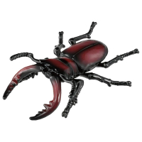 【TAKARA TOMY】ANIA 多美動物 AS-43 鋸齒鍬形蟲(男孩 動物模型)