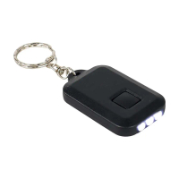 TaffLED Mini Led Solar Power Rechargeable Flashlight + Keychain - XY