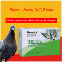 Pigeon cleaning Trichomonas oral white spots respiratory nutrition additives probiotics powder mouth yellow snoring cough green