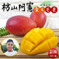 【產地直送】屏東枋山阿憲山頂上的愛文芒果18-24顆(10斤x1箱)