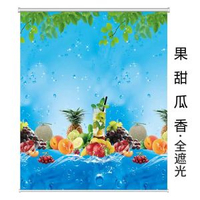 全遮光加厚捲簾高檔升降臥室客廳廚房遮陽簾手拉式窗簾免打孔安裝