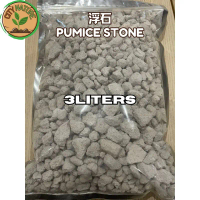 3L Pumice Stone (Batu Apung) Various Size/Monstera Aroid Soil Succulent cactus soil Adenium Soil