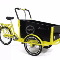 T05A 3 Wheel Electric Tricycle 250w Cargo Bike Passenger Scooter Bike Comercial Bicycle Adult