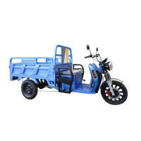 2024 EEC US DOT Electric Tricycle 3000W 3 Wheel Electric Scooter For Adult Tricycle Electric Keke Tricycle