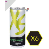 現貨不用等 安麗XS飲品 檸檬雪酪6入組