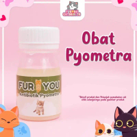 Antibiotik sirup pyometra kucing