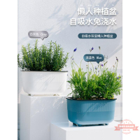 陽臺種菜盆神器懶人自動吸水花盆長方形花槽家庭種植箱塑料種菜箱