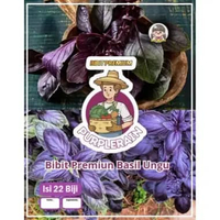 Bibit Premium Basil Ungu | Benih Basil Ungu Herbal