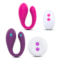 Rechargeable Clitoral Spot Vibrator Waterproof Couples Vibrator with 10 SPEED Drop Shipping