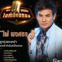 แผ่นซีดี M65 ลูกทุ่งไมค์เลี่ยมทอง ไผ่ พงศธร