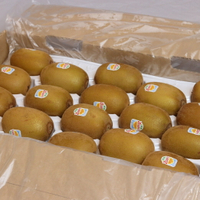 紐西蘭Zespri 黃金奇異果18-22顆入進口原裝盒【甜滿果室】