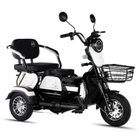 Electric Tricycle Adult 3 Wheel Motorcycle Mobility Scooter With armrests With Basket Disability Leisure Small Electric Scooter