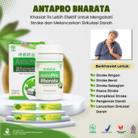 Herbal Stroke Ringan - Herbal Stroke Menahun - Antapro Bharata