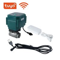 DN15 DN20 DN25 DN32 Tuya WIFI Water Valve Irrigation Faucet and Water Sensor Tuya App Real Time Moni