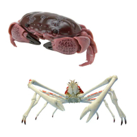 【BANDAI 萬代】轉蛋 生物大圖鑑 螃蟹02 花紋愛潔蟹 甘氏巨螯蟹 兩款一組(日版)