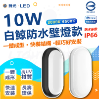 【DanceLight 舞光】3入 白鯨系列 LED 10W 壁燈 防水係數IP66(白光/黃光)