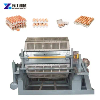 YG Automatic Waste Paper Egg Tray Making Machine Pulp Molding Apple Tray Machine Egg Tray Production Line