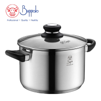 Buffalo 34822S SIMPLE COOK 不銹鋼加厚底雙耳煲連玻璃鍋蓋 22cm / 4.8L 香港行貨