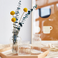 個性透明玻璃花瓶創意干花桌面擺件客廳茶幾辦公桌插花裝飾品
