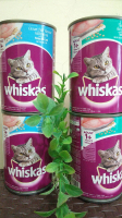Makanan Basah Kucing Whiskas Kaleng Adult 1+ 400gr