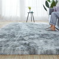 長毛地毯 絨毛地墊 北歐大地毯 客廳茶幾墊 榻榻米地毯 客製化