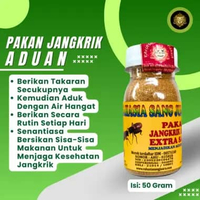 Sadek Jangkrik Aduan Pakan Jangkrik Aduan Menjadikan Lebih Kuat Gesit Agresif Dan Garang