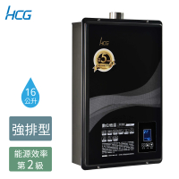 【HCG 和成】16公升數位恆溫熱水器-2級能效-原廠安裝-GH1655(NG1/FE式)