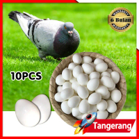 10pcs Telor Burung Merpati / Telor Replika / Telor Palsu / Telor Plastik Burung Merpati Dummy / Imit