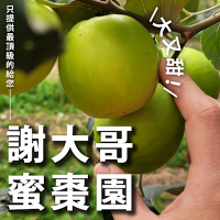 【十翼饌選果】台南歸仁謝大哥蜜棗園頂級爆漿蜜棗(22~24顆/5台斤x1箱)