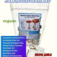 Jamur Susu Harimau / Tiger Milk Mushroom.