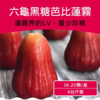 【農頭家】六龜LV級黑糖芭比蓮霧禮盒(中果/5台斤)