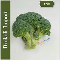 Brokoli Import Hijau Segar - Sayur Brokoli / Broccoli Import Fresh | 1 Pcs [ Harga Per PCS ]