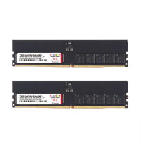 【v-color】DDR5 ECC DIMM 4800 48GB kit 24GBx2(伺服器記憶體)