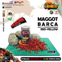 MAGGOT BARCA SUPER RED-YELLOW Pakan ikan predator channa maru bunga spot auranti pulchra rim limbata