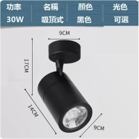 led明裝射燈(30W/黑殼/光色：正白光【COB吸頂款】) 