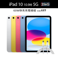Apple 2022 iPad 10 10.9吋/5G/256G(60W快充充電線組)