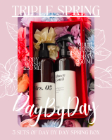 Triple Spring Box Day by Day Gift Set Body Wash Multipurpose Disinfectant Spray Hampers Birthday Ann